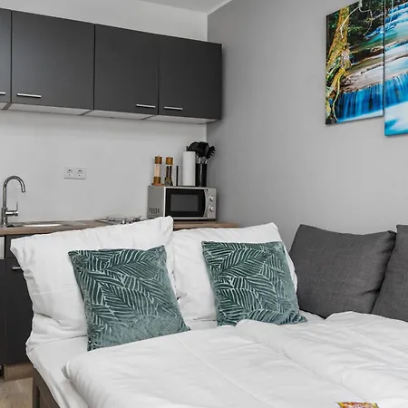 Apartamento Federnest living Messe Monteure Budget einfache komfortable 2 Personen Vollausstattung WLAN TV 55 Zoll Netflix Hochwertige Küche und Bad Duisburg